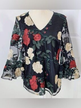 ECI Beige Brand Floral Embroidered Black V-NeckTop with sheer sleeves